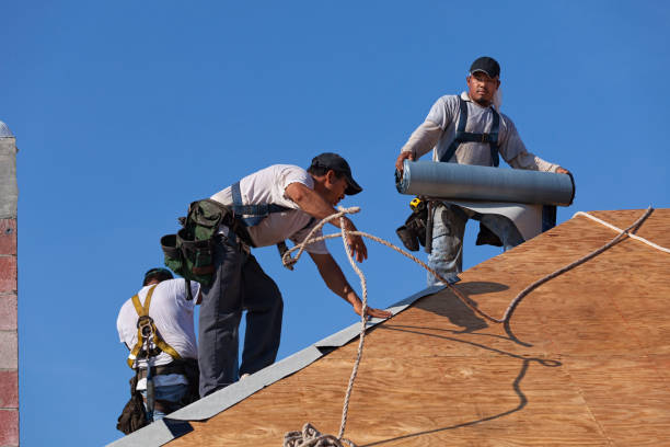 Roof Gutter Cleaning in Coral Terrace, FL